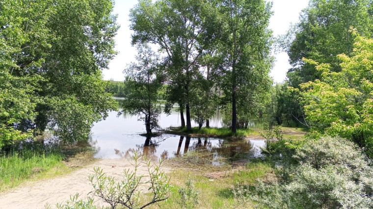 Родительский патруль.